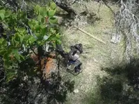1460870991786.webp