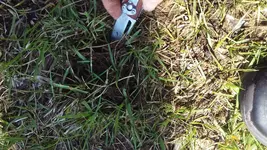 20160326_153140.webp