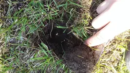 20160326_153146.webp