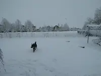 snow 041716 3.webp