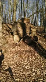 uploadfromtaptalk1460919031636.webp