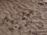 DSCN0104.webp