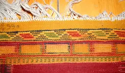 DSCN2106.webp
