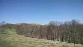 uploadfromtaptalk1460918982921.webp