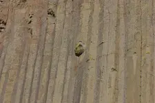 6 06-1 Yellowstone 053.webp
