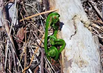 DSCN0469.webp