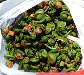 DSCN0473.webp
