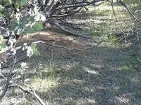 1459647139482.webp