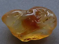 Agate-2016-04-09-Moss-Img_0734SSS.webp