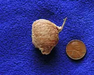 DSCN0032.webp