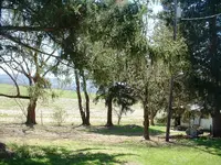 DSCF0002.webp DSCF0002.webp