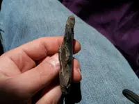 100_0333.webp