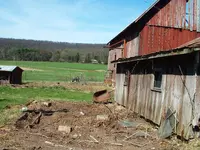DSCF0008.webp