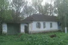 IMAG0067.webp IMAG0067.webp