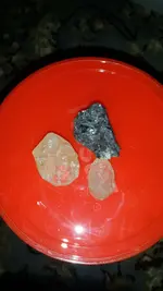 IMG-20160126-WA0004.webp