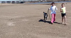 image.webp