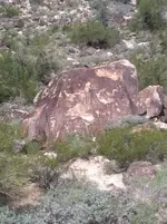 ImageUploadedByTreasureNet.com1457820328.545112.webp ImageUploadedByTreasureNet.com1457820328.545112.webp