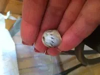 lead ball1.webp