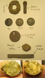 finds.webp