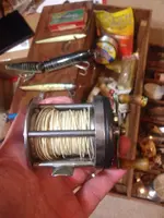 ImageUploadedByTreasureNet.com1460939946.807224.webp