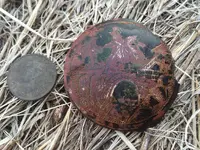 ImageUploadedByTreasureNet.com1460941379.722651.webp ImageUploadedByTreasureNet.com1460941379.722651.webp