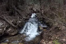 DSCF1245.webp