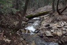 DSCF1246.webp