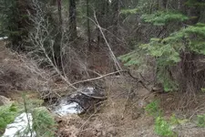 DSCF1248.webp