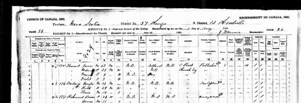 1891 census of canada.jpg