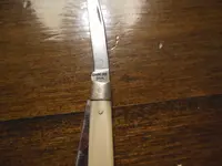 DSCN0880.webp