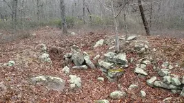 DSCF0211.webp