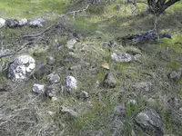 1458449293652.webp