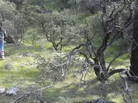 1458449322749.webp
