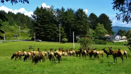 DSCN0107.webp