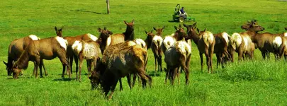 DSCN0108.webp