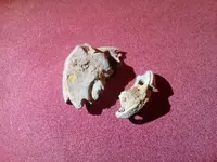 IMG_20160403_184157.webp