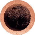 image.gif