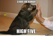 congratulations-puppy_o_2325185.webp