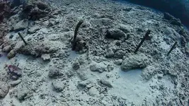 210804-wreck.webp