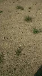 1461549780745.webp