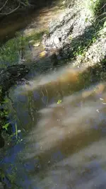1460988258910.webp