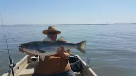 20160424_152642.webp