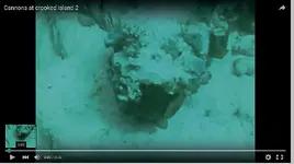 Video-cannonsII1.webp
