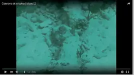 Video-cannonsII3.webp