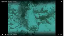 Video-cannonsII4.webp
