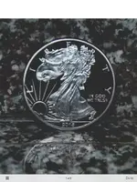 ImageUploadedByTreasureNet.com1457239799.827262.webp