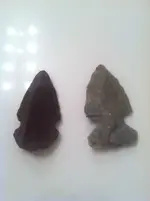 ImageUploadedByTreasureNet.com1459727918.750004.webp ImageUploadedByTreasureNet.com1459727918.750004.webp