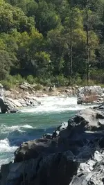 1459729475070.webp