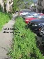Median Strip Taylor Ave 002.webp