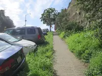 Median Strip Taylor Ave 004.webp